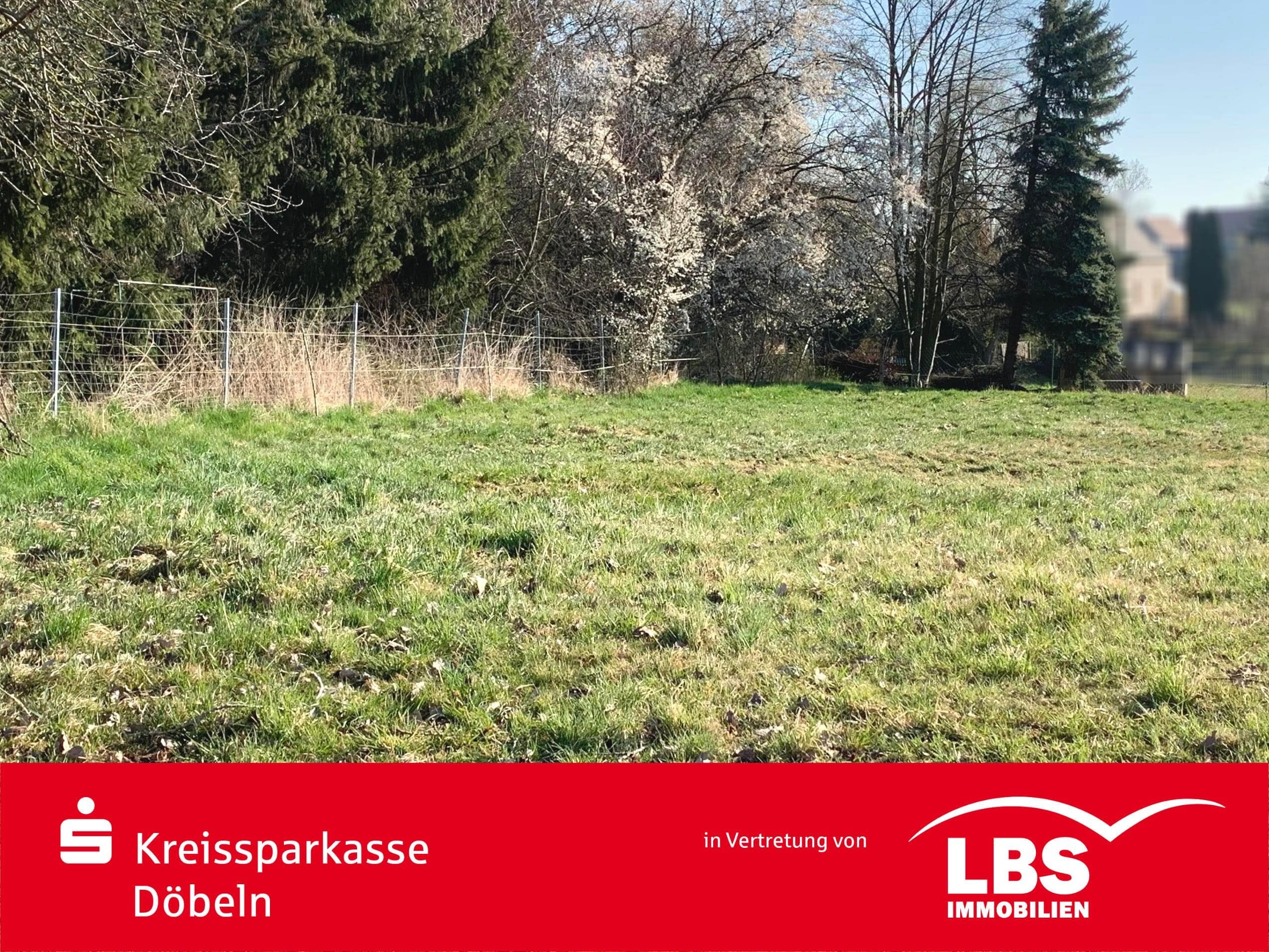 Grundstück zum Kauf 48.000 € 1.001 m²<br/>Grundstück Kriebethal Kriebstein 09648