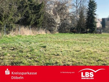 Grundstück zum Kauf 48.000 € 1.001 m² Grundstück Kriebethal Kriebstein 09648