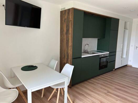 Studio zur Miete Wohnen auf Zeit 980 € 1 Zimmer 30 m² frei ab 30.04.2026 Oberhofer Str. 0 Gaisbach Künzelsau 74653