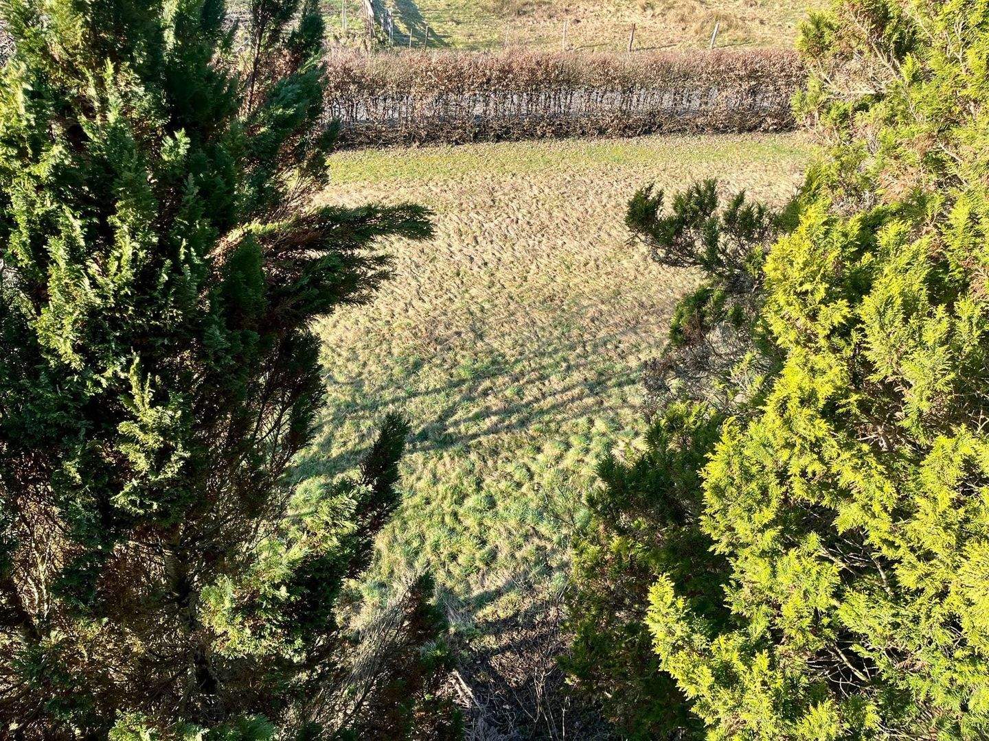 Immobilie in Mespelbrunn - Ein Mehrgenerationenhaus lädt ein ... - Bild 4