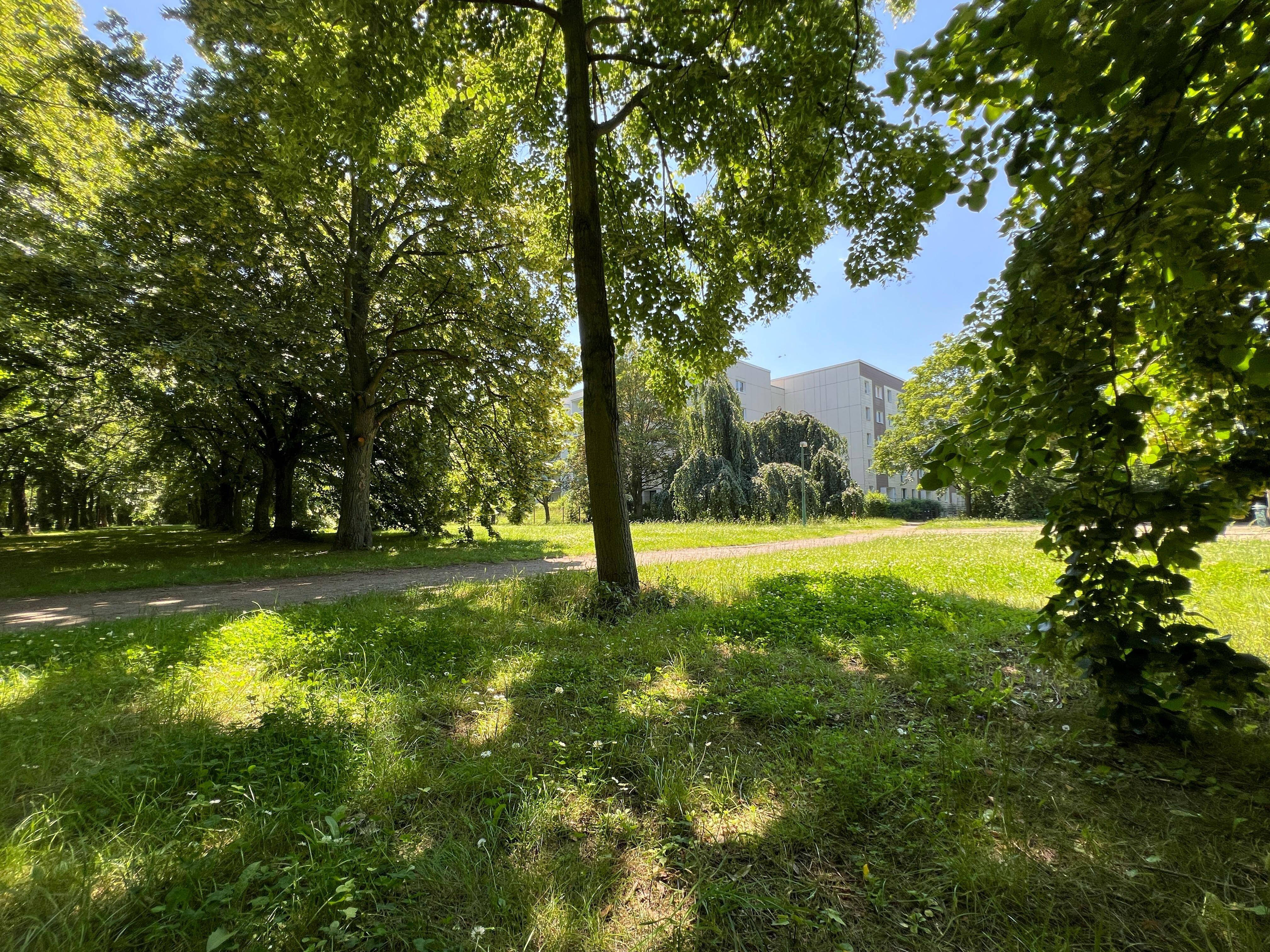 Property thumbnail 8