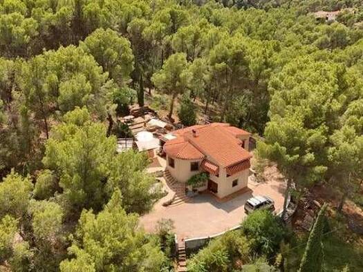 Bauernhaus zum Kauf 595.000 € 4 Zimmer 210 m² Orba 03791