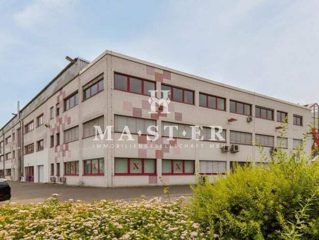 Bürofläche zur Miete provisionsfrei 130 m² Bürofläche teilbar ab 130 m² Kempten Bingen 55411