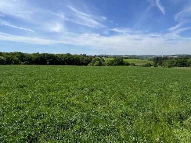 Grundstück zum Kauf 112.500 € 750 m² Grundstück Buchholz 53567