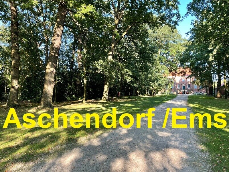 Studio zur Miete 640 € 3 Zimmer 70 m²<br/>Wohnfläche Aschendorf Aschendorf 26871