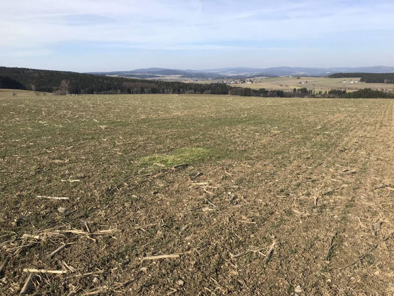 Land-/Forstwirtschaft zum Kauf provisionsfrei Rückersrieth Moosbach 92709
