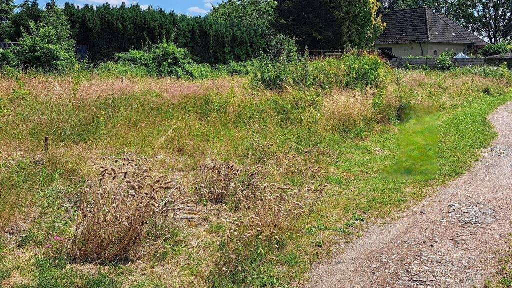 Grundstück zum Kauf 79.000 € 558 m² Grundstück Hebbelstraße 11 B Hohenlockstedt 25551