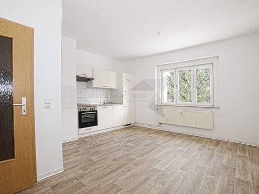 Wohnung zur Miete 320 € 2 Zimmer 56 m² 1. Geschoss Wilkestraße 8 Bahnhofsvorstadt Zwickau 08056