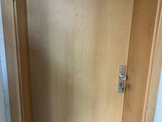 Wohnung zur Miete 1.000 € 3 Zimmer 80 m² frei ab sofort Sandhausen 69207