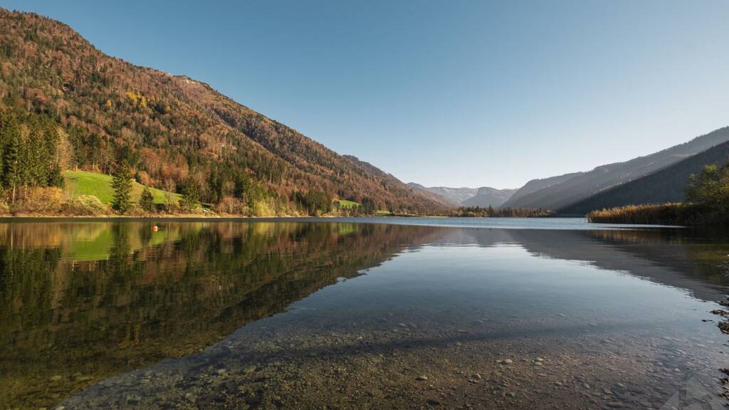 Grundstück zum Kauf 299.000 € 422 m² Grundstück Faistenau 5324