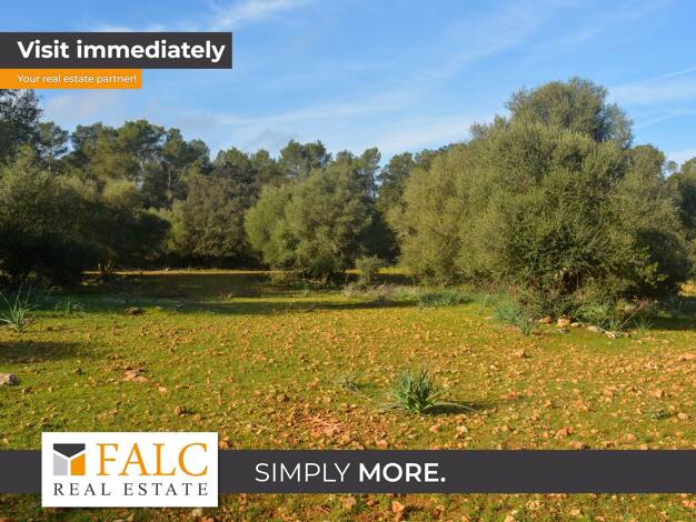 Landhaus zum Kauf provisionsfrei 5 Zimmer 300 m² 39.000 m² Grundstück Pina 07220