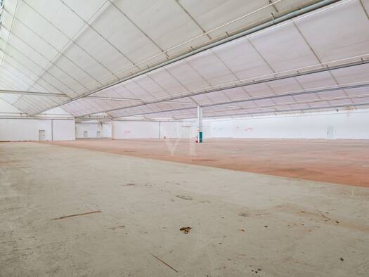 Lagerhalle zur Miete 4.563,3 m² Lagerfläche teilbar ab 1.777,4 m² Aschendorf Papenburg 26871