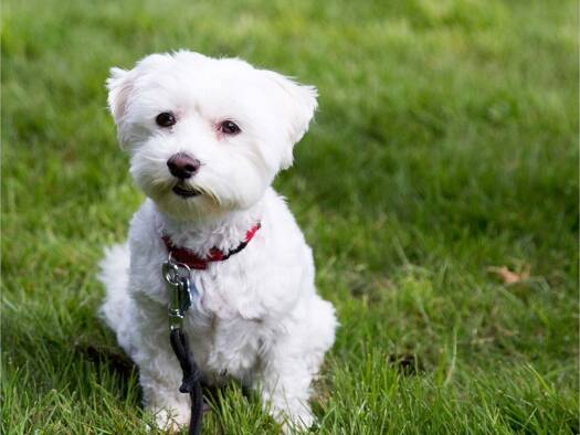 Wohnung zum Kauf 27.000 € 2 Zimmer 41 m² Steele Essen / Steele 45276