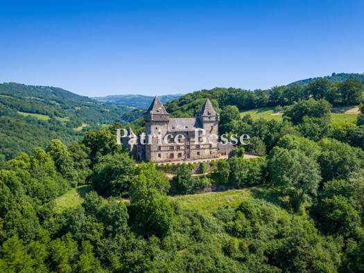 Schloss zum Kauf 1.400.000 € 13 Zimmer 1.070 m² 155.666 m² Grundstück Vic-sur-Cère 15800