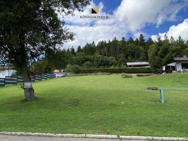Grundstück zum Kauf 125.000 € 650 m² Grundstück Wehingen 78564