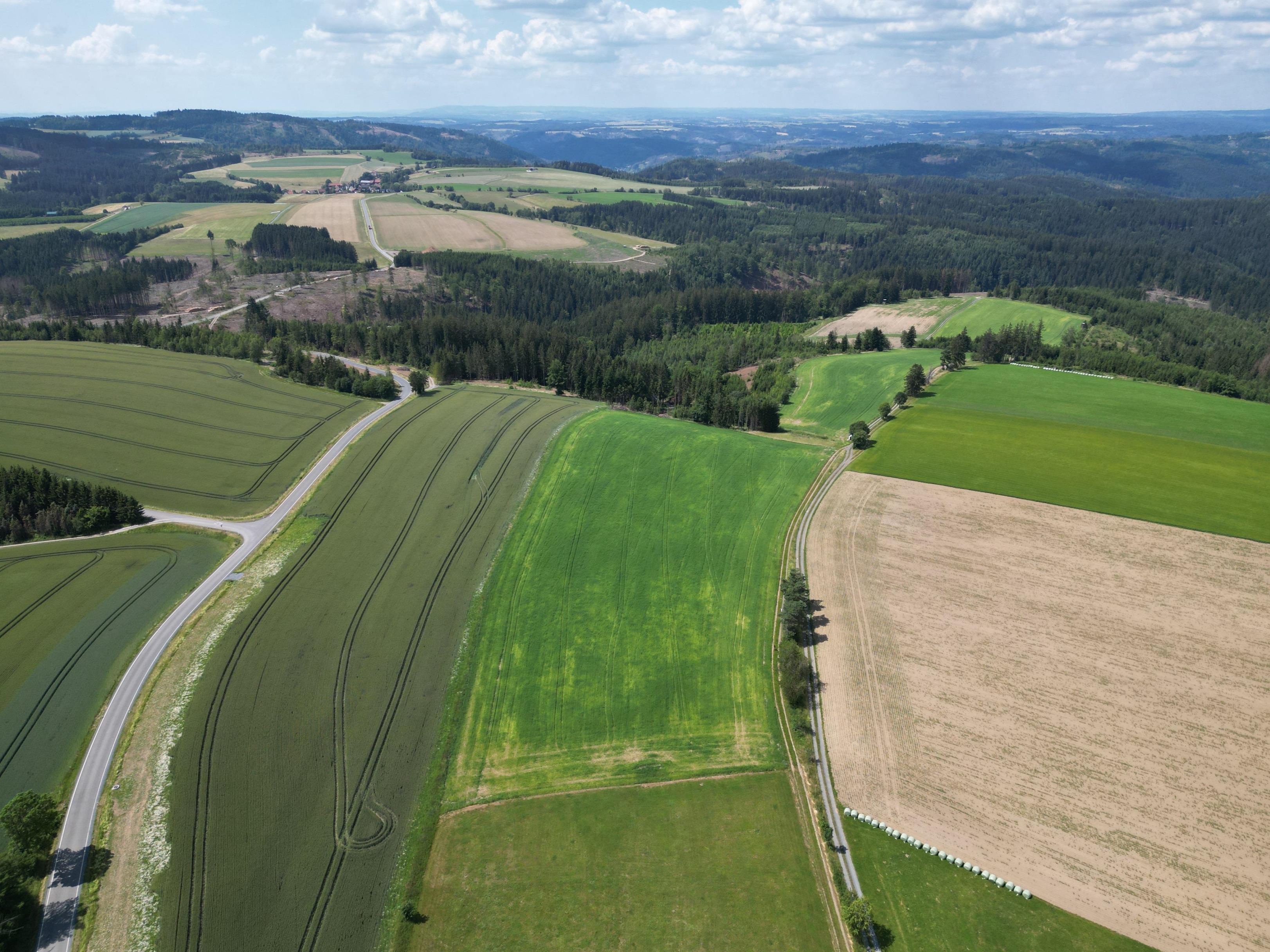 Land-/Forstwirtschaft zum Kauf 299.000 € 221.120 m²<br/>Grundstück Kunreuth Presseck 95355