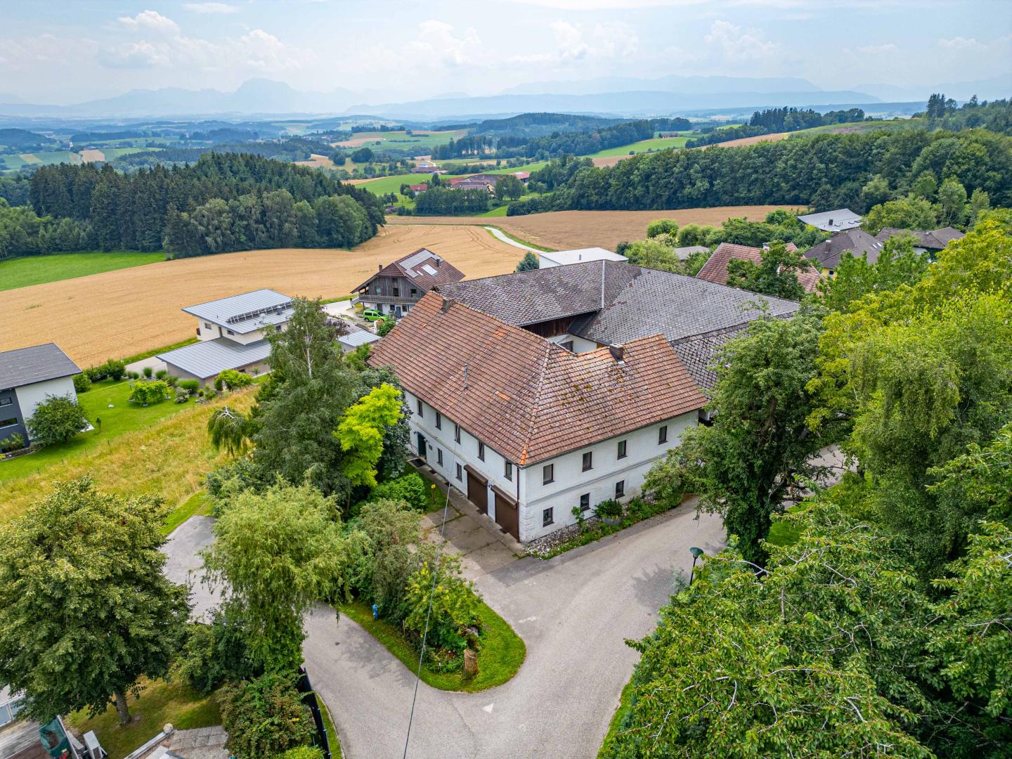 Bauernhaus zum Kauf 850.000 € 10 Zimmer 553 m²<br/>Wohnfläche 6.378 m²<br/>Grundstück Voglhuberstraße Wolfsegg am Hausruck 4902