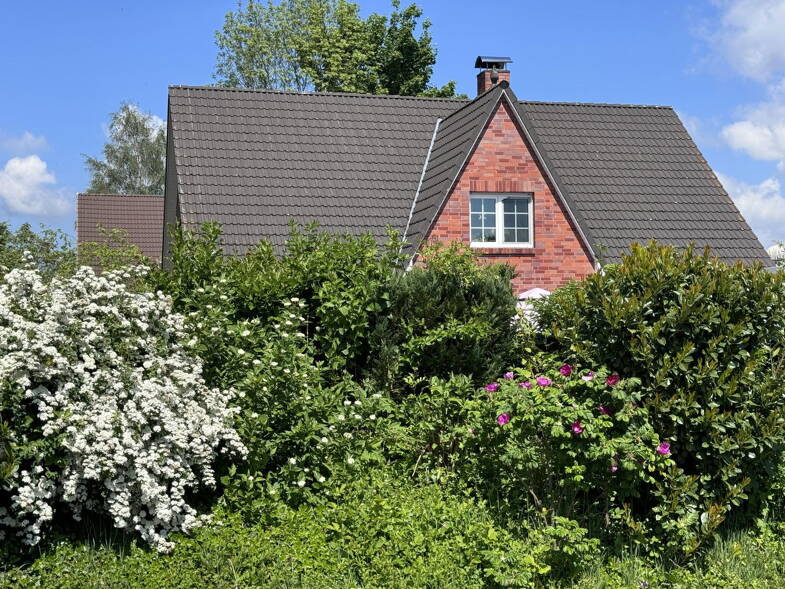 Wohnung zur Miete 800 € 2 Zimmer 85 m² Dachgeschoss, 1. Geschoss frei ab 01.07.2025 Seehof Seehof 29069