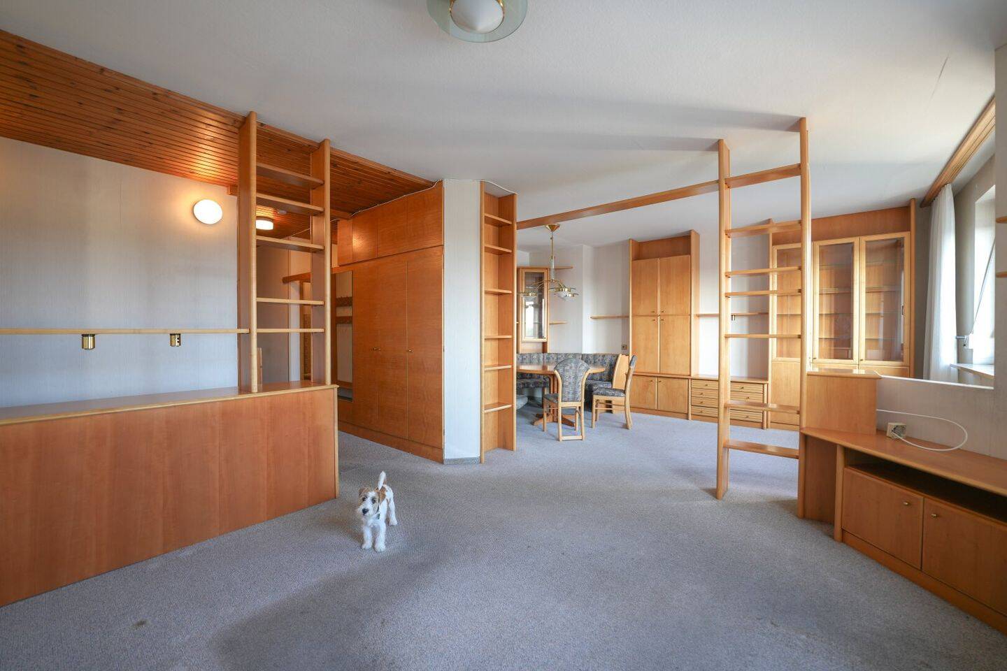 Wohnung – Wels, Neustadt - Ansicht 4