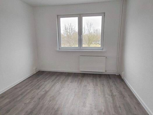 Wohnung zur Miete 455 € 3 Zimmer 67 m² EG frei ab sofort Carl-F-F 1 Krebsförden Schwerin 19061