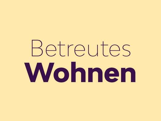 Wohnung zur Miete 255 € 1 Zimmer 24,2 m² 1. Geschoss Tornauer Straße 23 A Innenstadt Dessau-Roßlau 06842