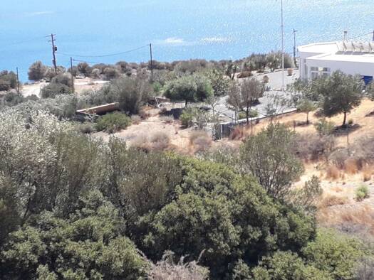 Grundstück zum Kauf provisionsfrei 300.000 € 4.180 m² Grundstück Municipality of Viannos 700 04