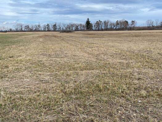 Land-/Forstwirtschaft zum Kauf 52.000 € 16.650 m² Grundstück Seethal Übersee 83236