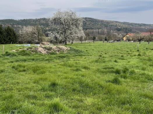 Grundstück zum Kauf 167.000 € 6.680 m² Grundstück Elbersdorf Dürrröhrsdorf-Dittersbach 01833
