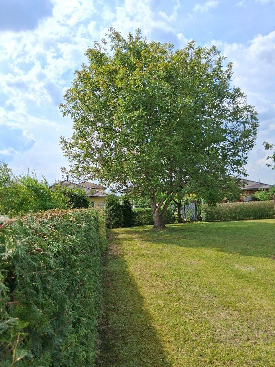 Einfamilienhaus zum Kauf - Ansicht 4