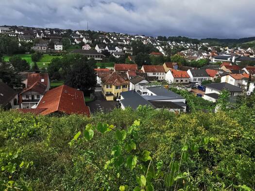 Grundstück zum Kauf 198.000 € 1.200 m² Grundstück Wallhausen 55595