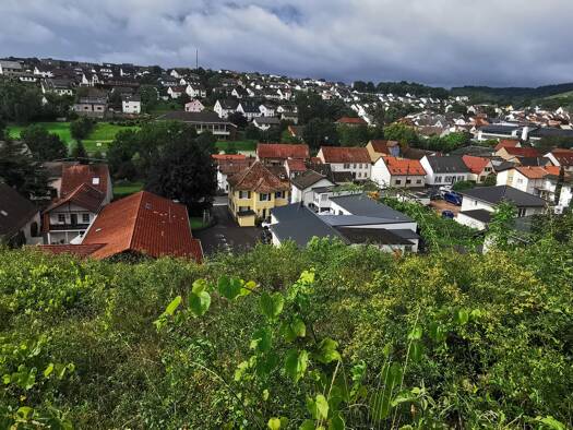 Grundstück zum Kauf 179.800 € 1.200 m² Grundstück Wallhausen 55595
