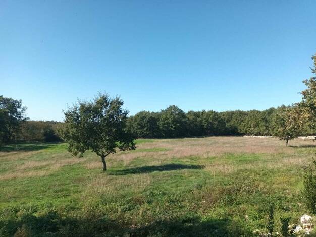 Grundstück zum Kauf 600.000 € 6.500 m² Grundstück Lovreć 21257