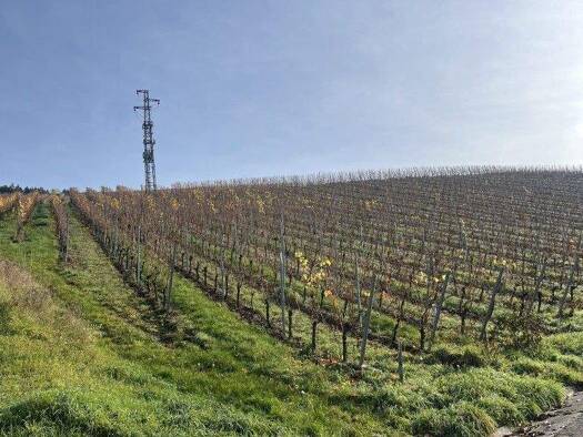 Einfamilienhaus zum Kauf 5 Zimmer 143 m² 205 m² Grundstück Kasel 54317