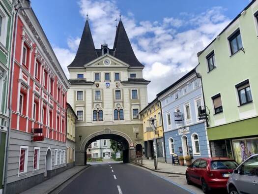 Büro zur Miete 642 € 90 m² Bürofläche Schwanenstadt 4690