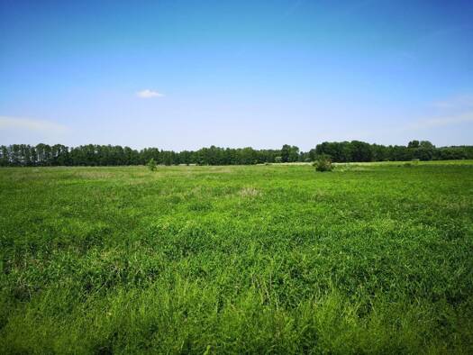 Gewerbegrundstück zum Kauf 400.000 € 494.524 m² Grundstück Somogysámson 8733