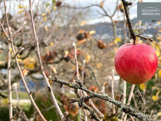 Freizeitgrundstück zum Kauf 96.000 € 1.128 m² Grundstück Leonberg 71229
