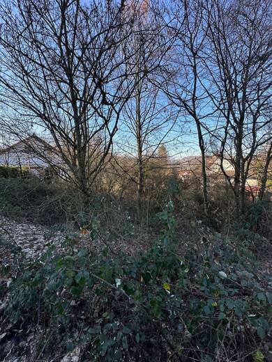 Grundstück zum Kauf 30.000 € 2.756 m² Grundstück Lauterecken 67742