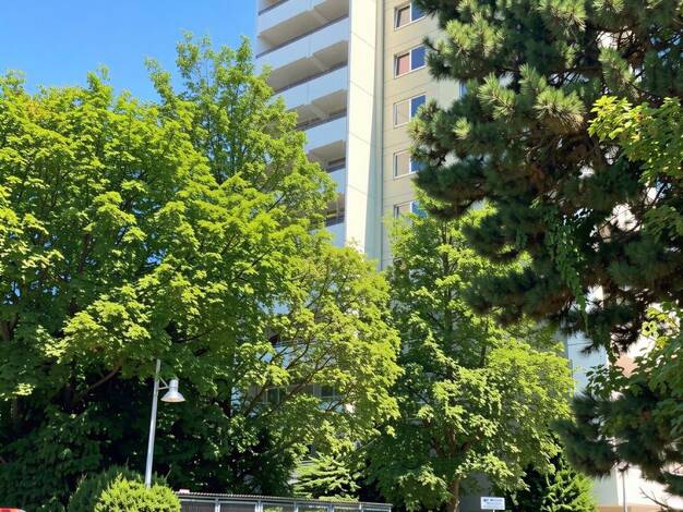 Wohnung zur Miete 1.825 € 132 m² 10. Geschoss Marbachweg 70 Preungesheim Frankfurt am Main 60435