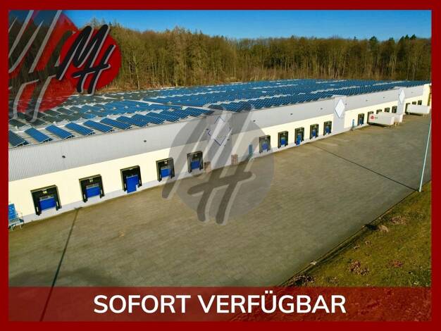 Halle/Industriefläche zur Miete 10.000 m² Lagerfläche Ransbach-Baumbach 56235