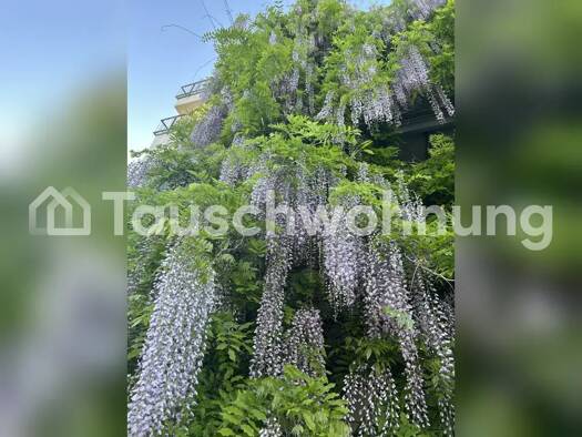 Studio zur Miete Tauschwohnung 526 € 1 Zimmer 36 m² 2. Geschoss Rieselfeld Freiburg im Breisgau 79111