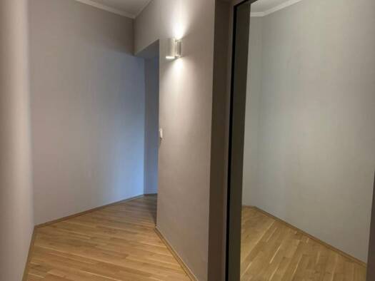 Wohnung zur Miete 1.050 € 1 Zimmer 52 m² Geschoss 1/5 frei ab sofort Sachsenhausen Frankfurt am Main 60599