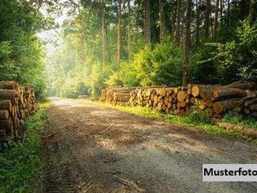 Land-/Forstwirtschaft zum Kauf 444.000 € 154.282 m² Grundstück St.Gerogen am Walde 4372