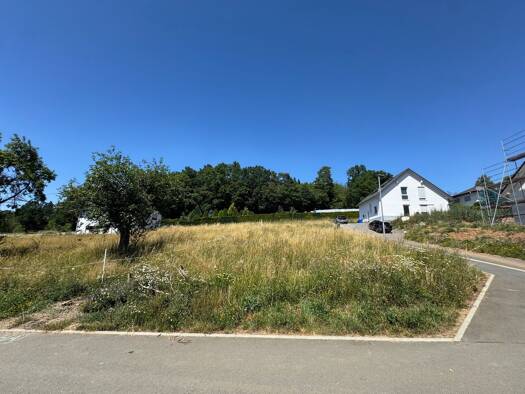 Grundstück zum Kauf 108.446 € Bornstraße Allertshausen Rabenau 35466