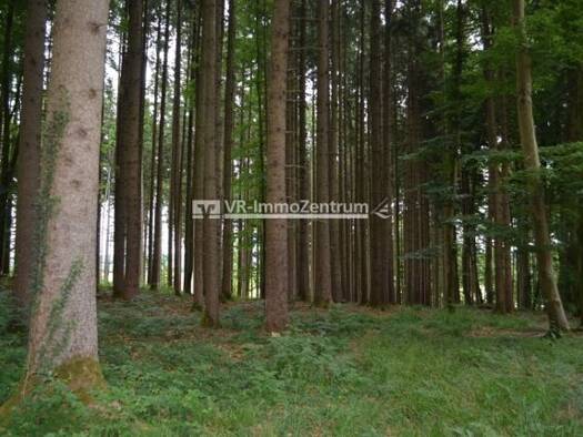 Forstwirtschaft zum Kauf 94.000 € 11.001 m² Grundstück Eresing Eresing 86922