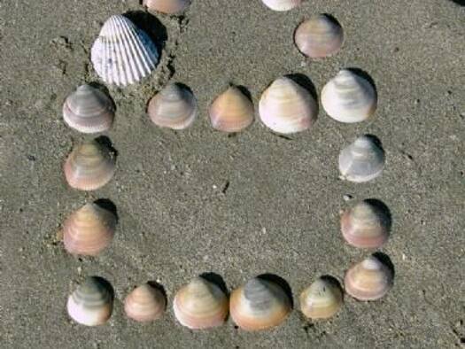 Wohnung zur Miete provisionsfrei 900 € 5 Zimmer 95 m² frei ab sofort Portiragnes 34420