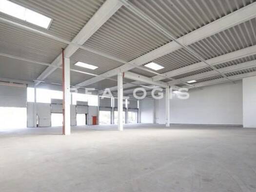 Halle/Industriefläche zur Miete 3.981 m² Lagerfläche Ladbergen 49549