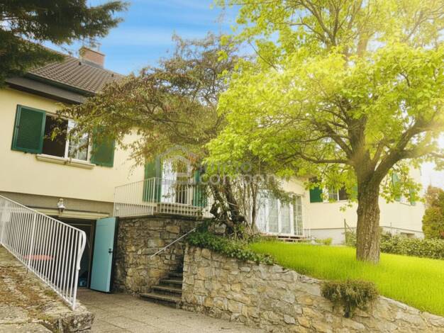 Einfamilienhaus zum Kauf 980.000 € 5 Zimmer 260 m² 1.400 m² Grundstück Breitenbrunn am Neusiedler See 7091