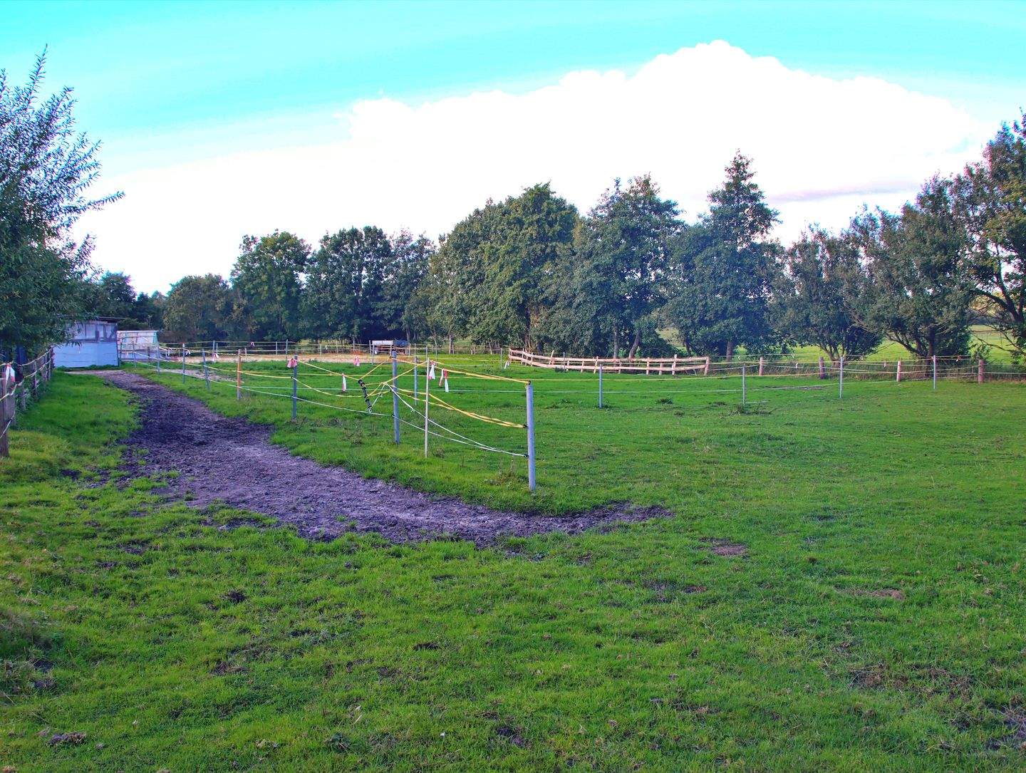 Immobilie in Schalkholz - Bezugsfreier Resthof  in 25782 Schalkholz,Nähe Heide,Nordsee - Bild 1