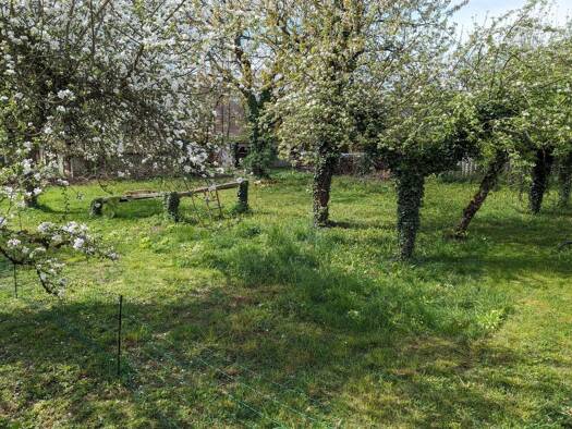 Grundstück zum Kauf provisionsfrei 680.000 € 1.026 m² Grundstück Gailingen 78262