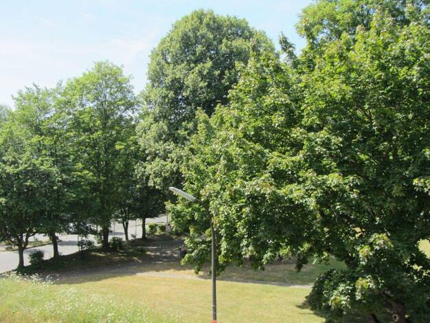 Wohnung zum Kauf provisionsfrei 239.000 € 2 Zimmer 56,7 m² 2. Geschoss Oedekoven Alfter / Bonn 53347